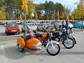 Gyor3
