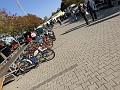 IMG_3755