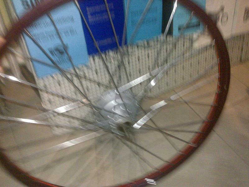 2010052810689.jpg