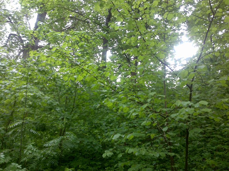 2010052810759.jpg