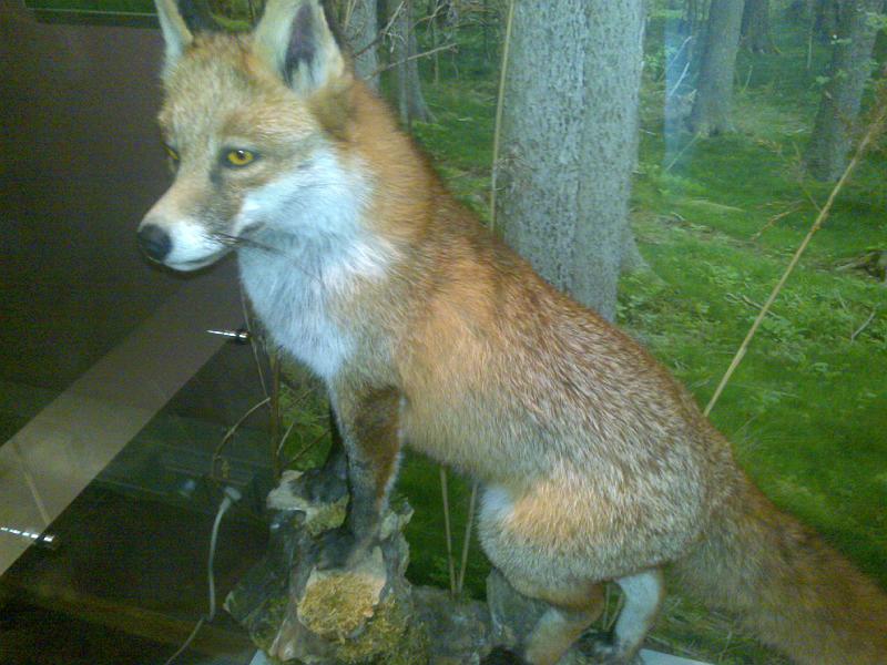 2010052810851.jpg