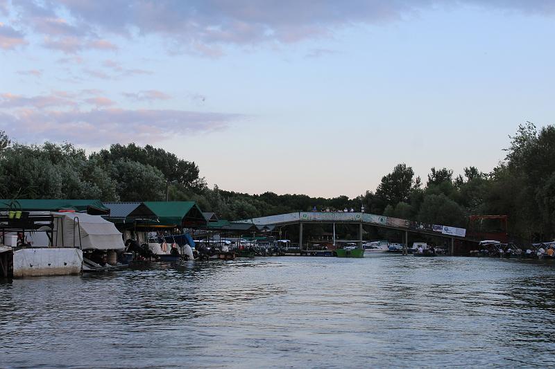 IMG_6855.JPG